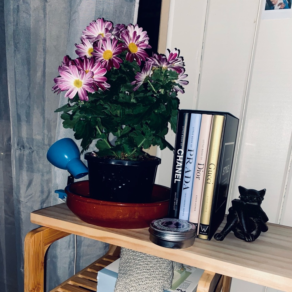 Meet your Posher, Ela